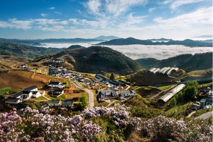 10 ag旗舰厅官网入口电气集团科技兴农 助力凉山火普村打造数字乡村804.png